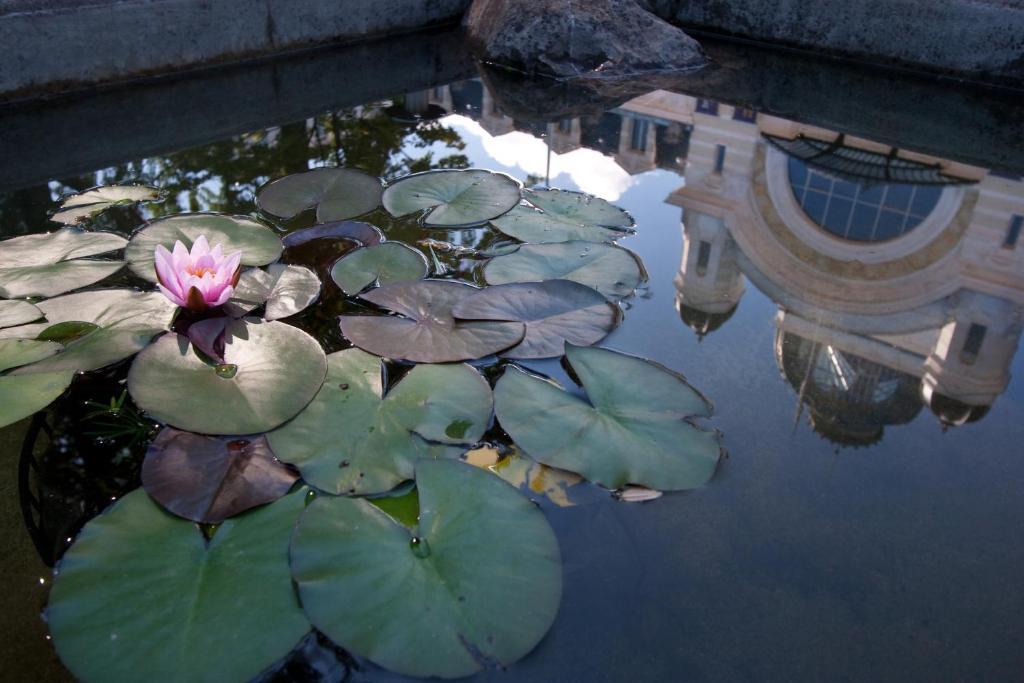 L'Oasis Hotel เอวิยงเลบานส์ ภายนอก รูปภาพ